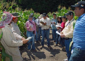 imic-agricultores-campo