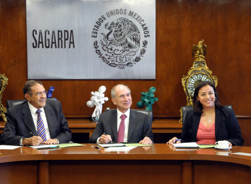 El Secretario de Desarrollo Agropecuario de Guanajuato, el Titular de la SAGARPA y la Directora Ejecutiva de MasAgro