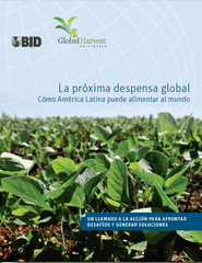 IDB-Report-cover