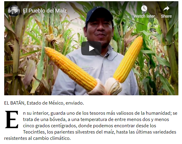 México quiere seguir siendo el pueblo del maiz